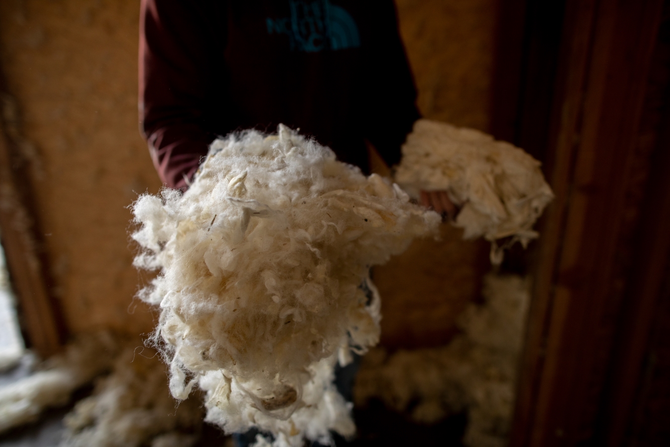 Climate Beneficial Wool Program 1